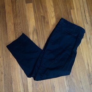Ann Taylor Work Trouser